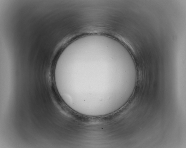 X0000112210682200908071303