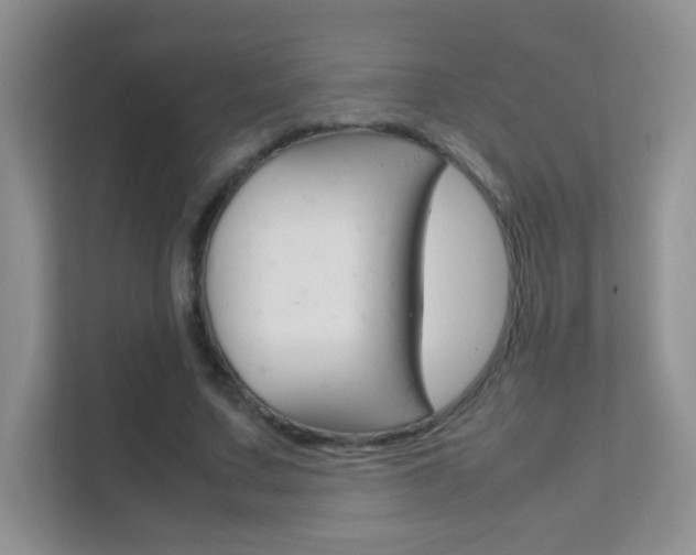 X0000112210683200908071303