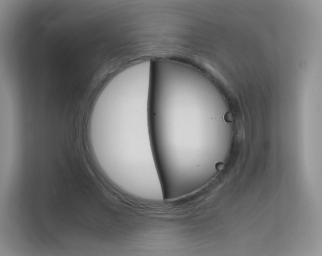 X0000112210685200908071303