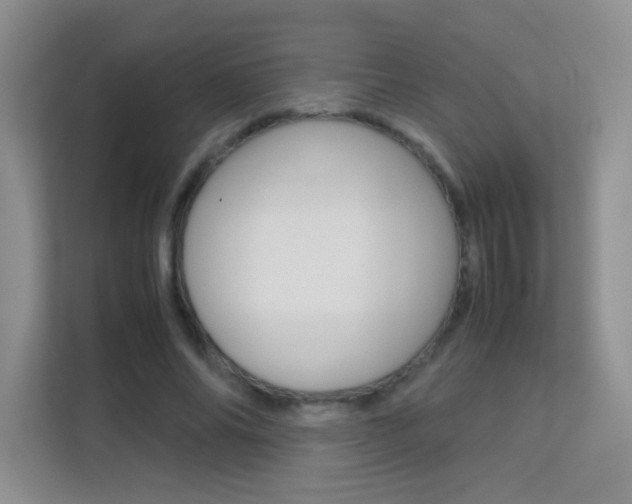 X0000112210686200908071303
