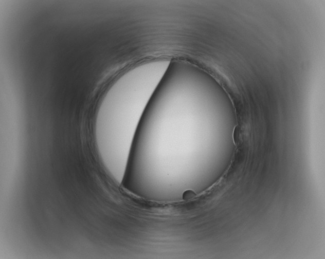 X0000112210688200908071303