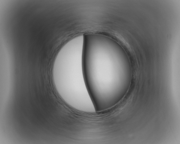 X0000112210689200908071303