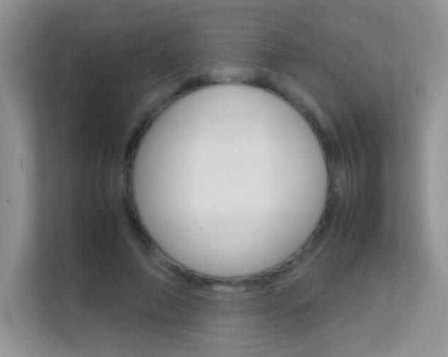 X0000112210690200908071303