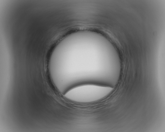 X0000112210691200908071303