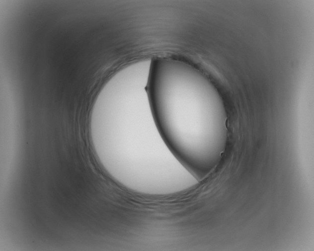 X0000112210693200908071303