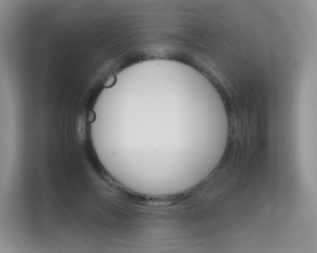 X0000112210694200908071303