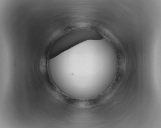 X0000112210696200908071303