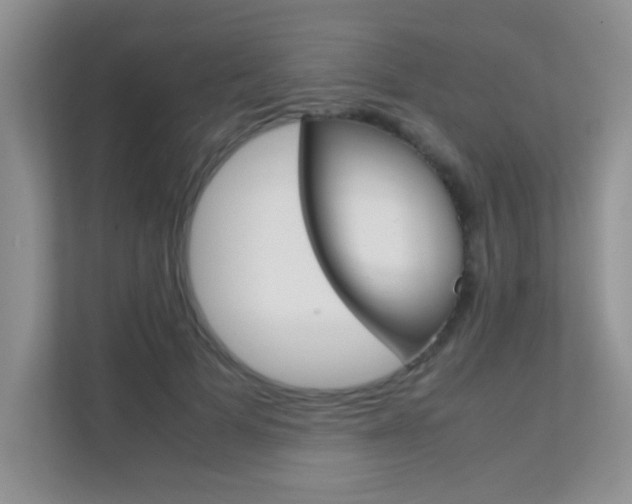 X0000112210697200908071303