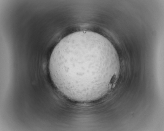 X0000112210698200908071303