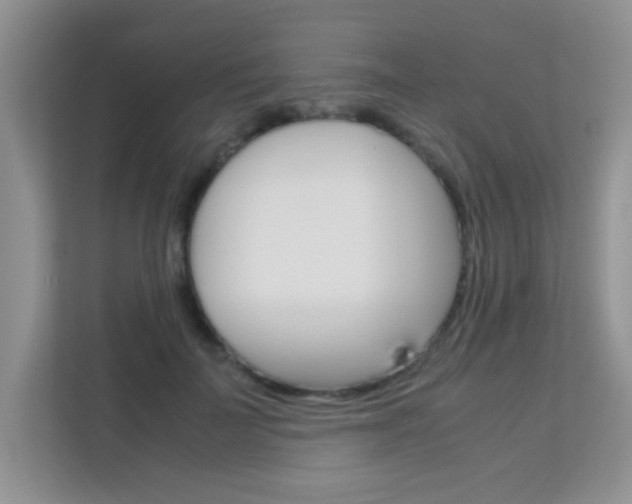 X0000112210699200908071303