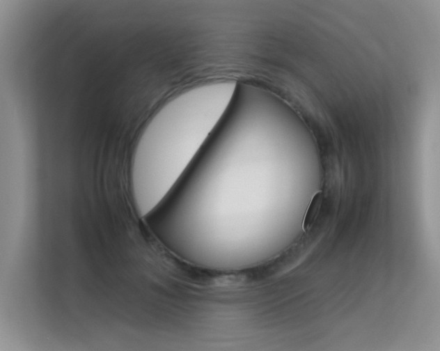 X0000112210700200908071303