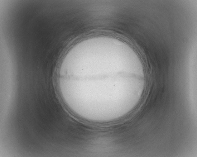 X0000112210701200908071303