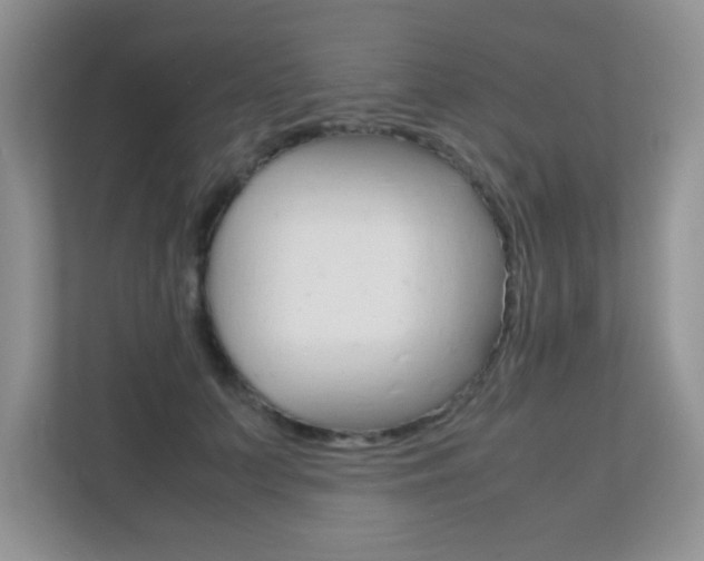 X0000112210703200908071303