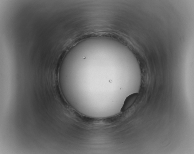 X0000112210704200908071303