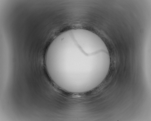 X0000112210706200908071303