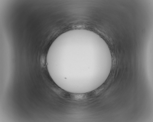 X0000112210709200908071303