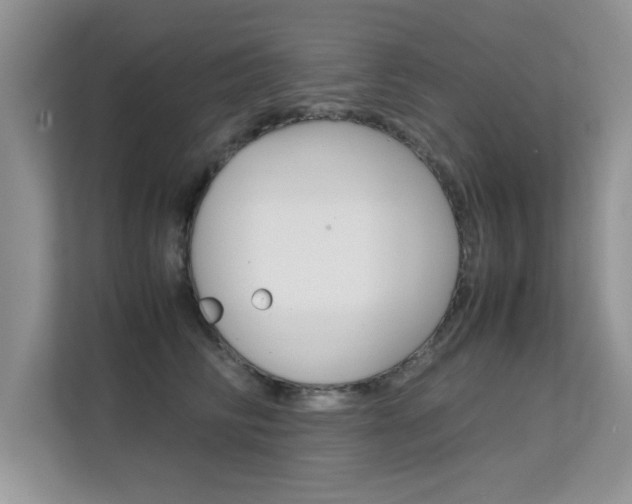 X0000112210710200908071303
