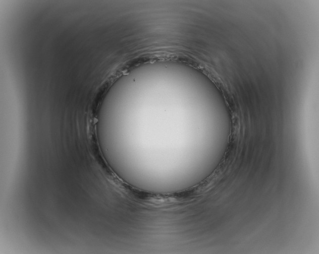 X0000112210712200908071303