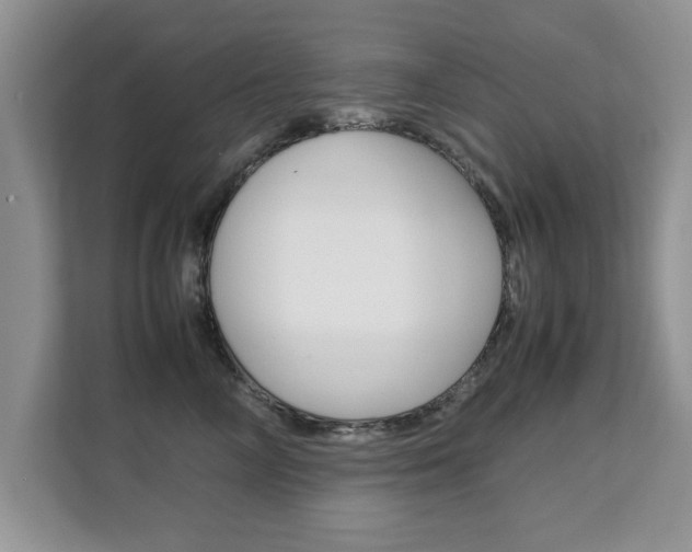 X0000112210714200908071303