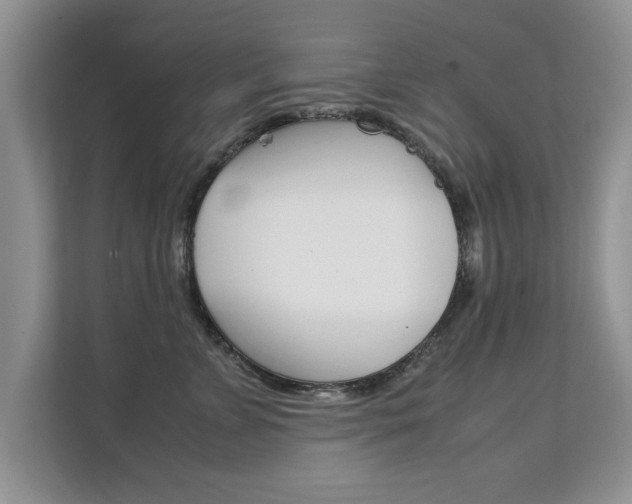 X0000112210715200908071303
