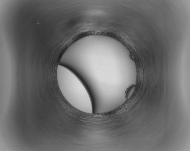X0000112210719200908071303