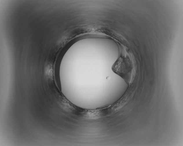 X0000112210720200908071303