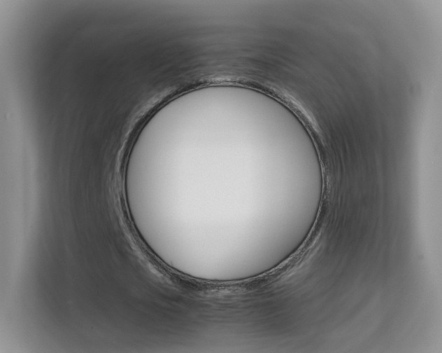 X0000112210721200908071302