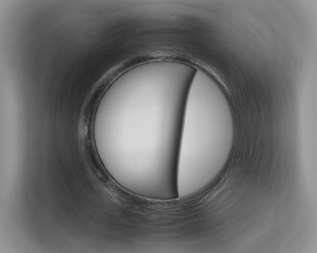 X0000112210723200908071302