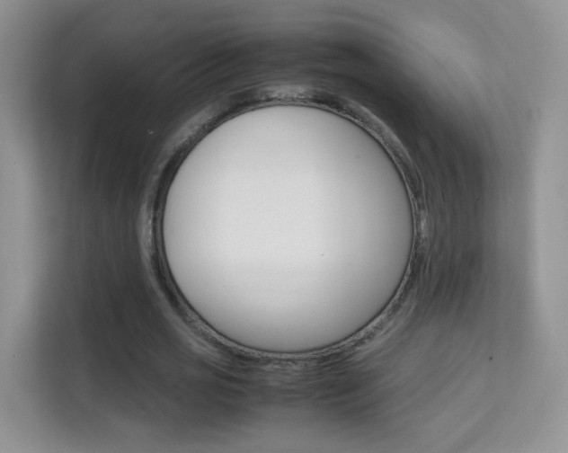 X0000112210725200908071302