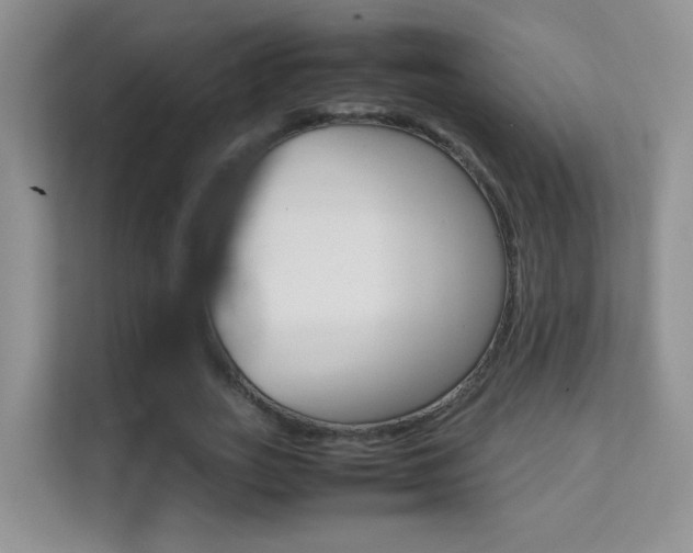 X0000112210727200908071302