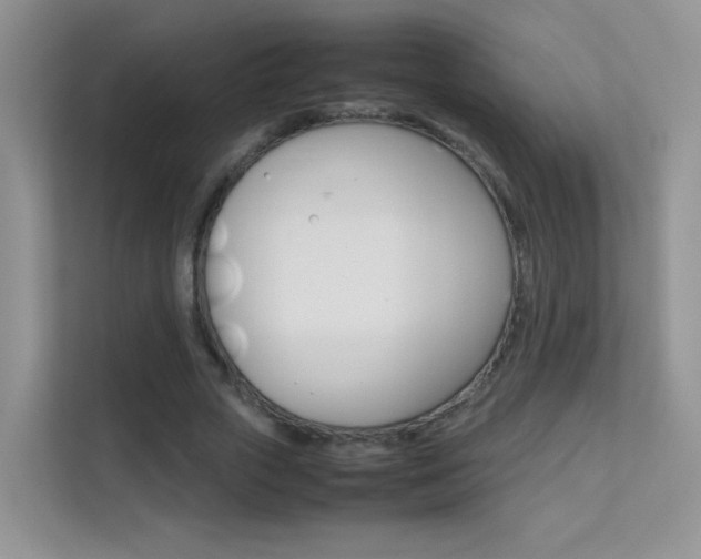 X0000112210729200908071302