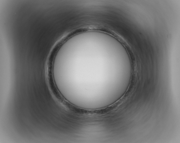 X0000112210730200908071302