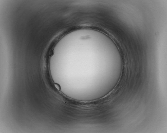 X0000112210731200908071302
