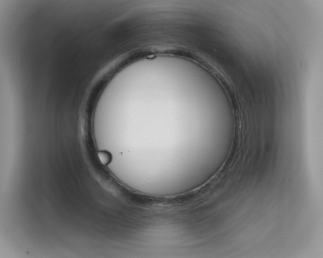 X0000112210732200908071302