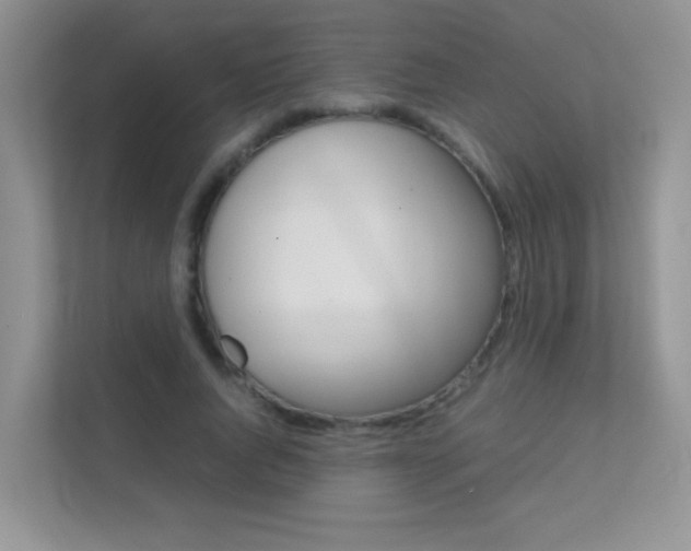 X0000112210736200908071302