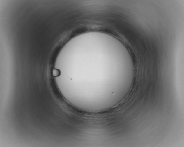 X0000112210738200908071302