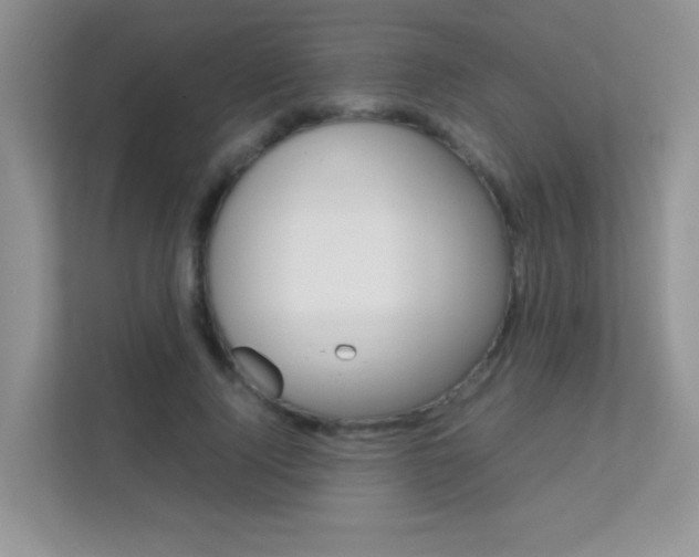 X0000112210740200908071302
