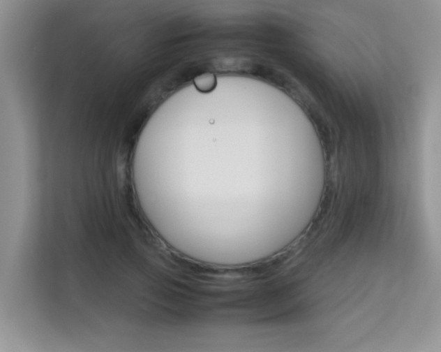 X0000112210741200908071302