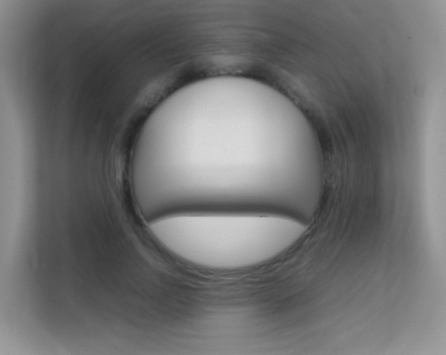 X0000112210742200908071302