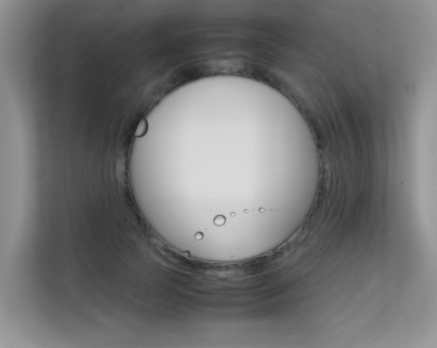X0000112210745200908071302