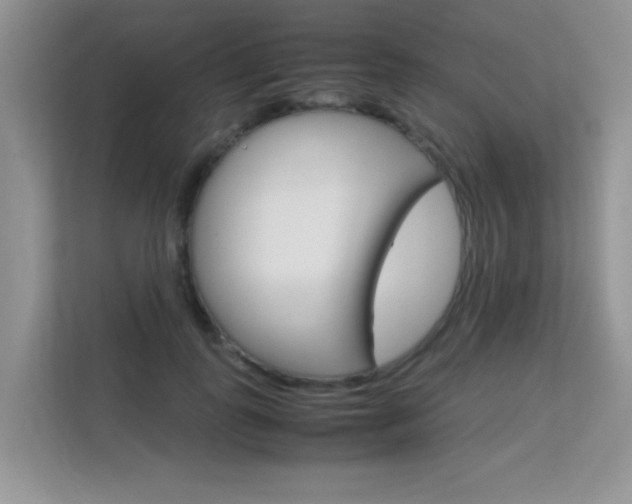 X0000112210747200908071302