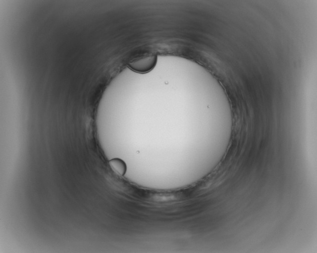 X0000112210749200908071302