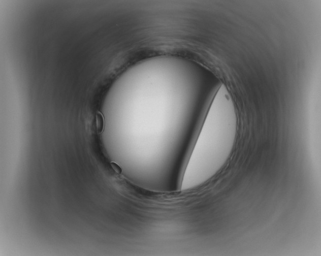 X0000112210750200908071302