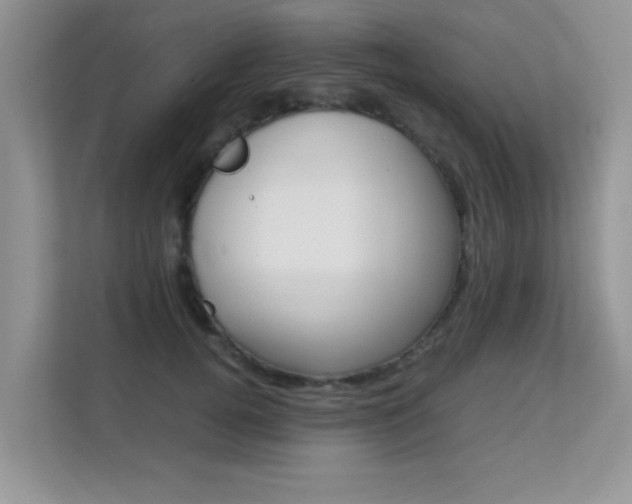 X0000112210752200908071303