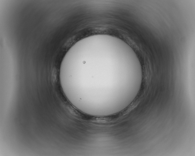 X0000112210758200908071303