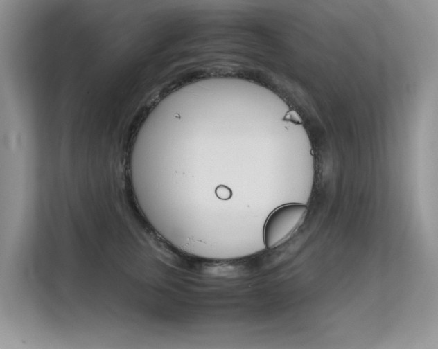 X0000112210759200908071303