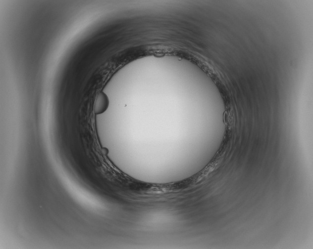 X0000112210764200908071303