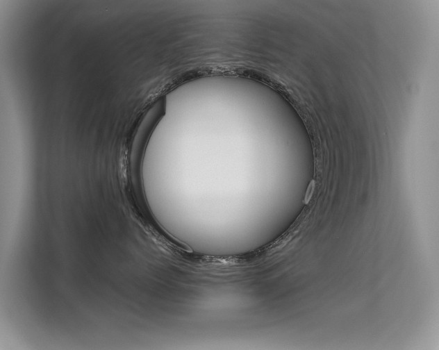 X0000112210768200908071303