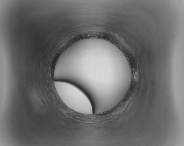 X0000112210771200908071302