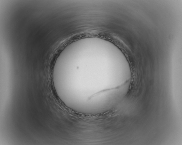 X0000112210773200908071302